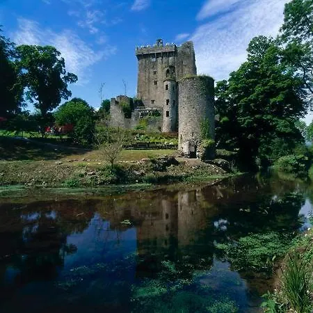 Lanesville ベッド・アンド・ブレックファスト ブラーニー